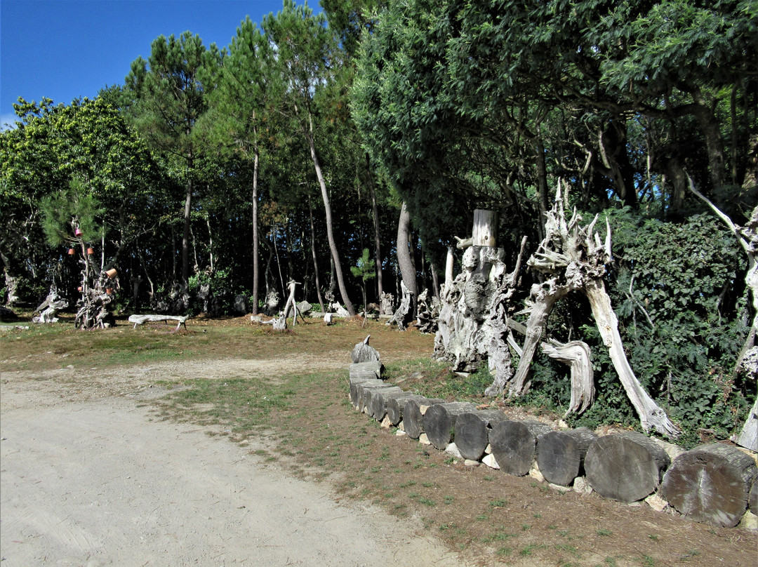Souches du Parking du bar du Mont-Salut-Ploemel必去景点