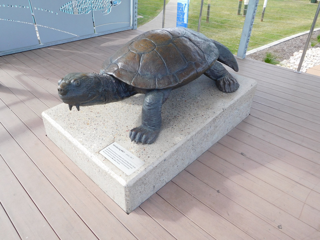 Tiaro Memorial Park-Tiaro必去景点