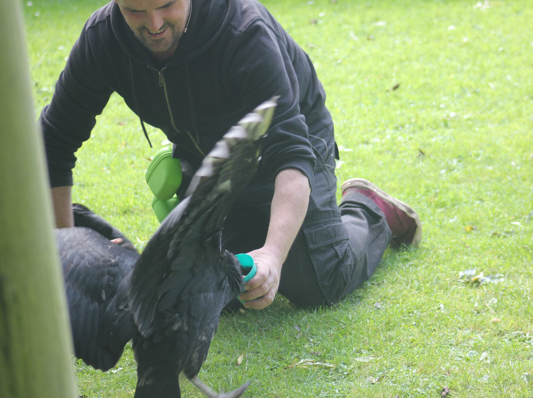 Kirkleatham Owl Center-Redcar必去景点