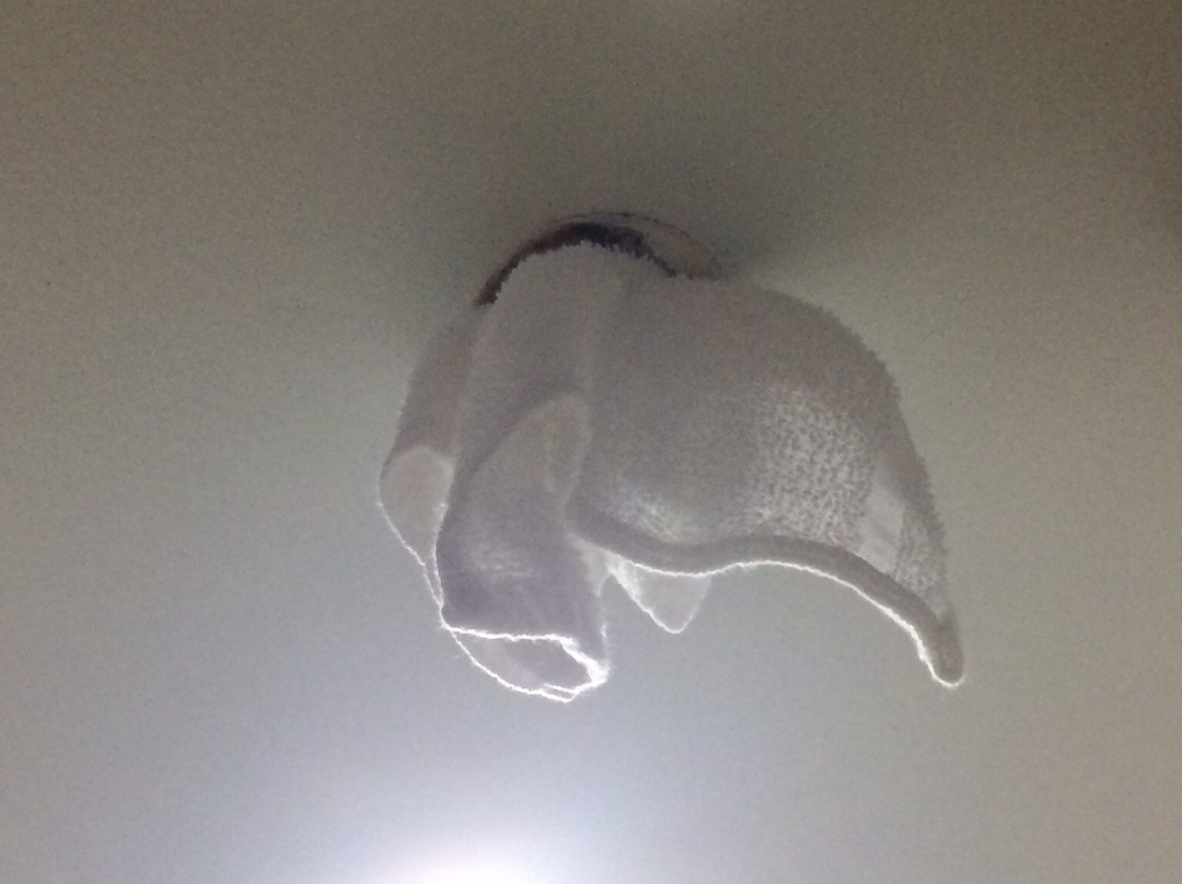 大急流城机场呗盟套房酒店主图