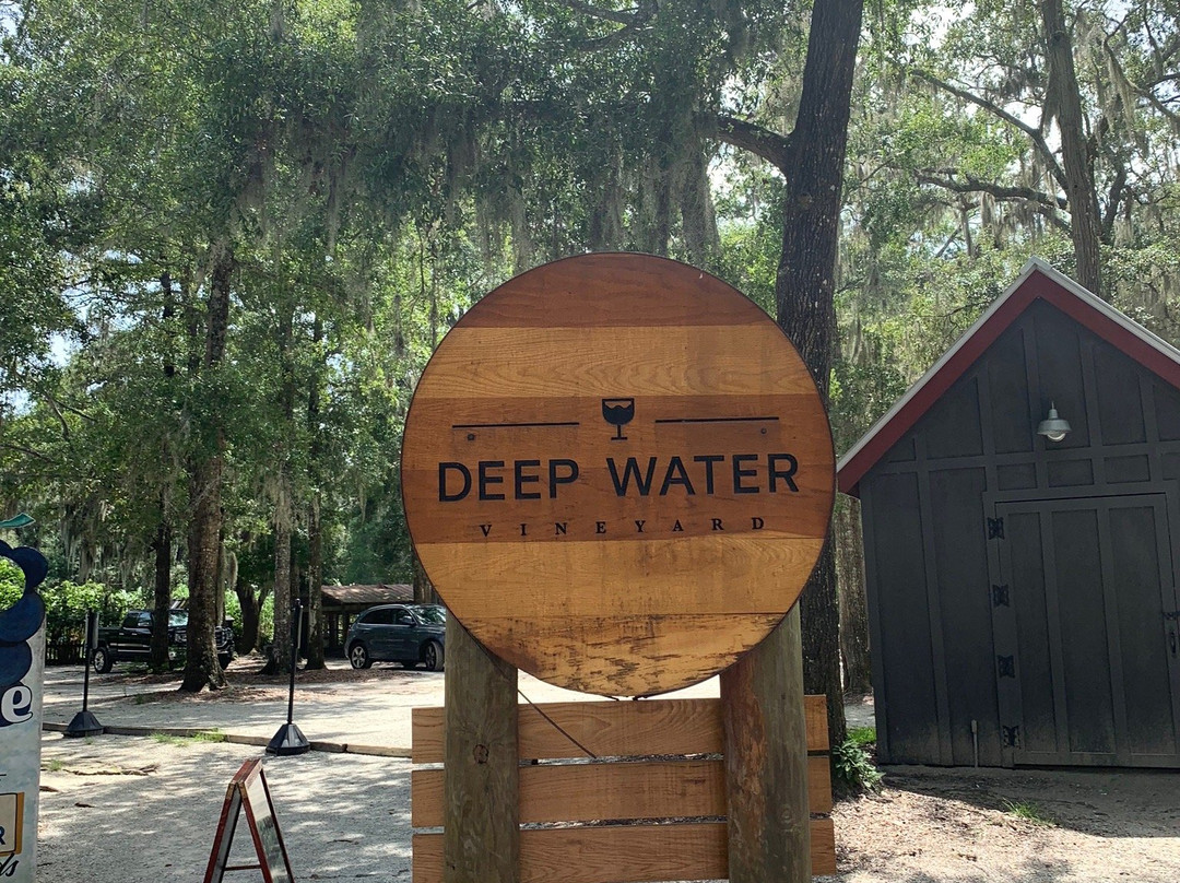 Deep Water Vineyard-Wadmalaw Island必去景点