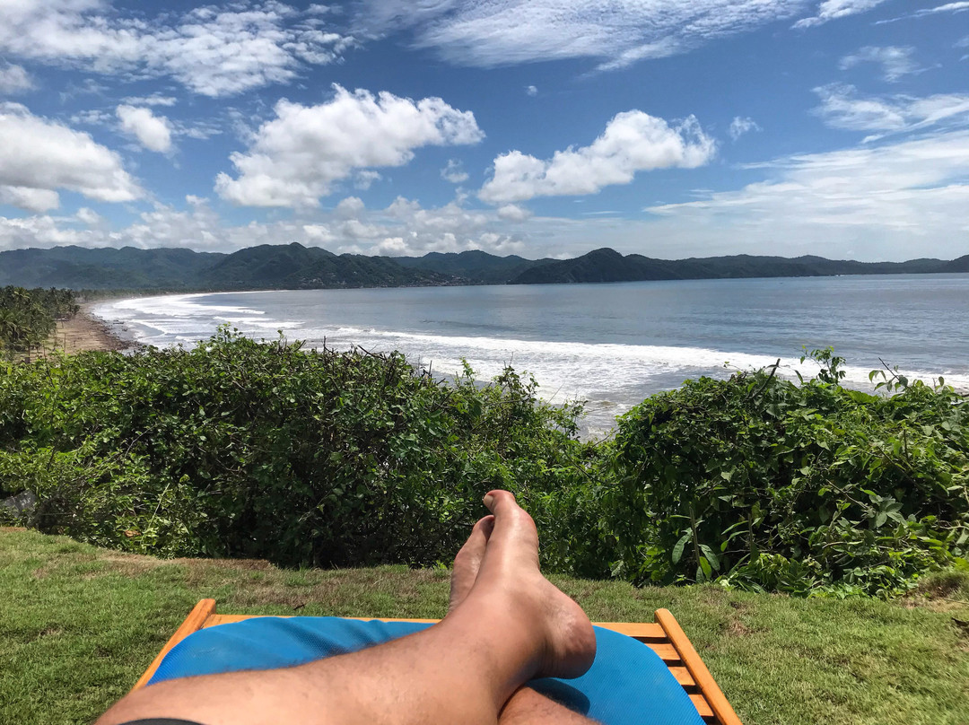 Coconuts by the Sea主图