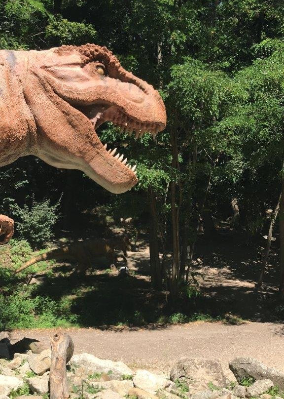 Zoo Bratislava-布拉迪斯拉发必去景点