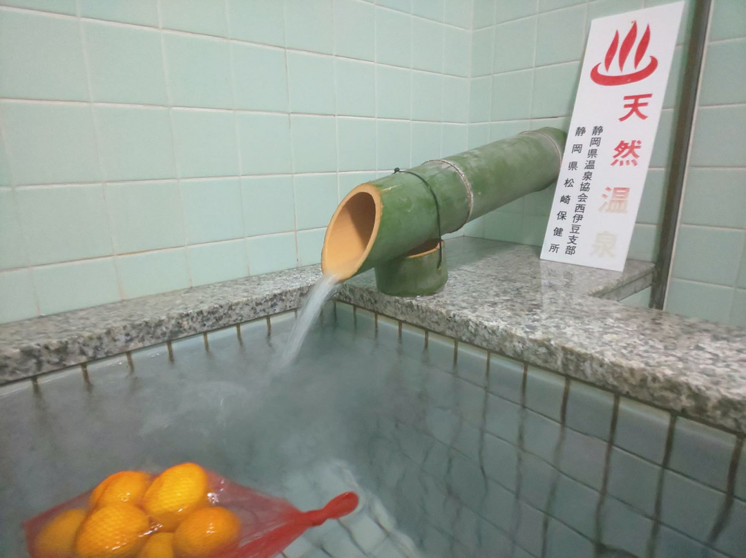 NishIizu Ugusu Onsen Shikinosato Makiba