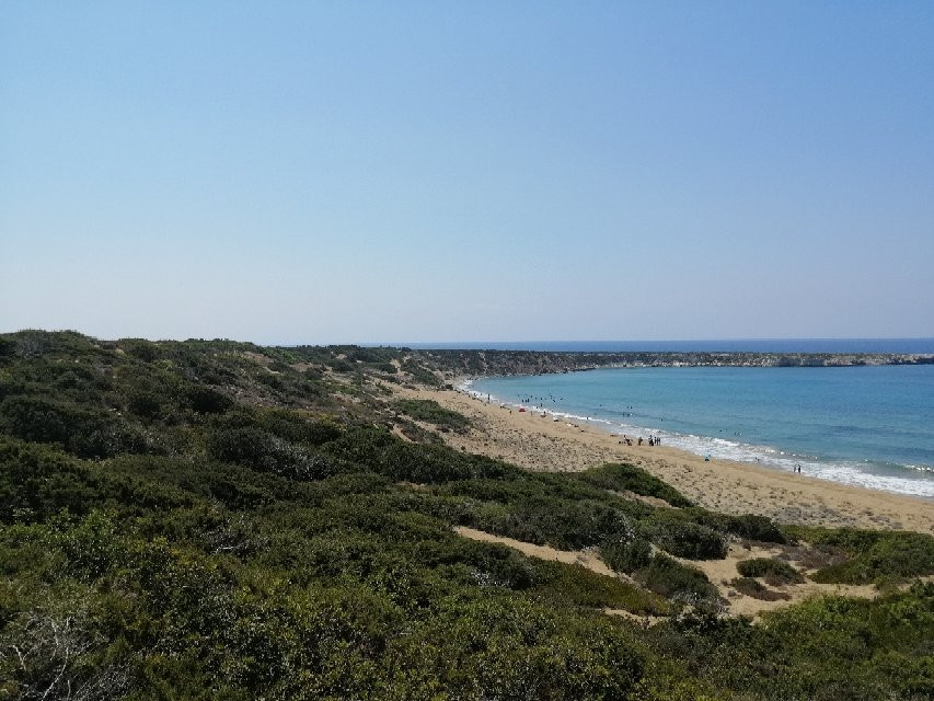 Lara Bay Turtle Conservation Station景点图片