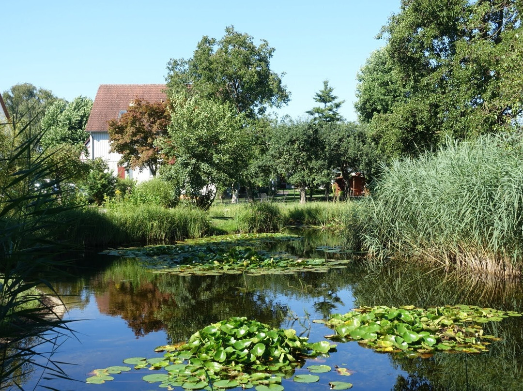 Landhotel Fischerhaus主图