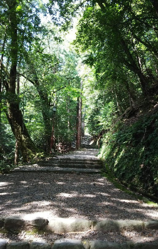 Moto Isenaigu Kotai Shrine-福知山市必去景点