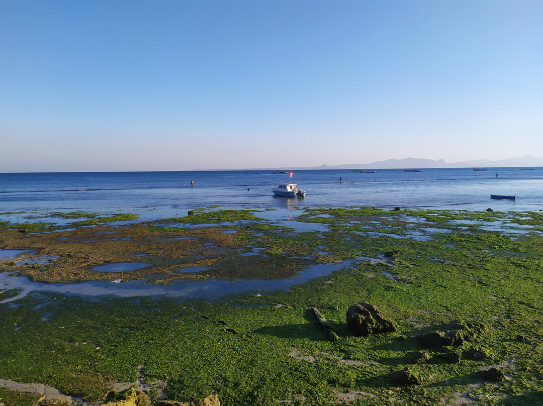 Pasir Panjang Beach景点图片