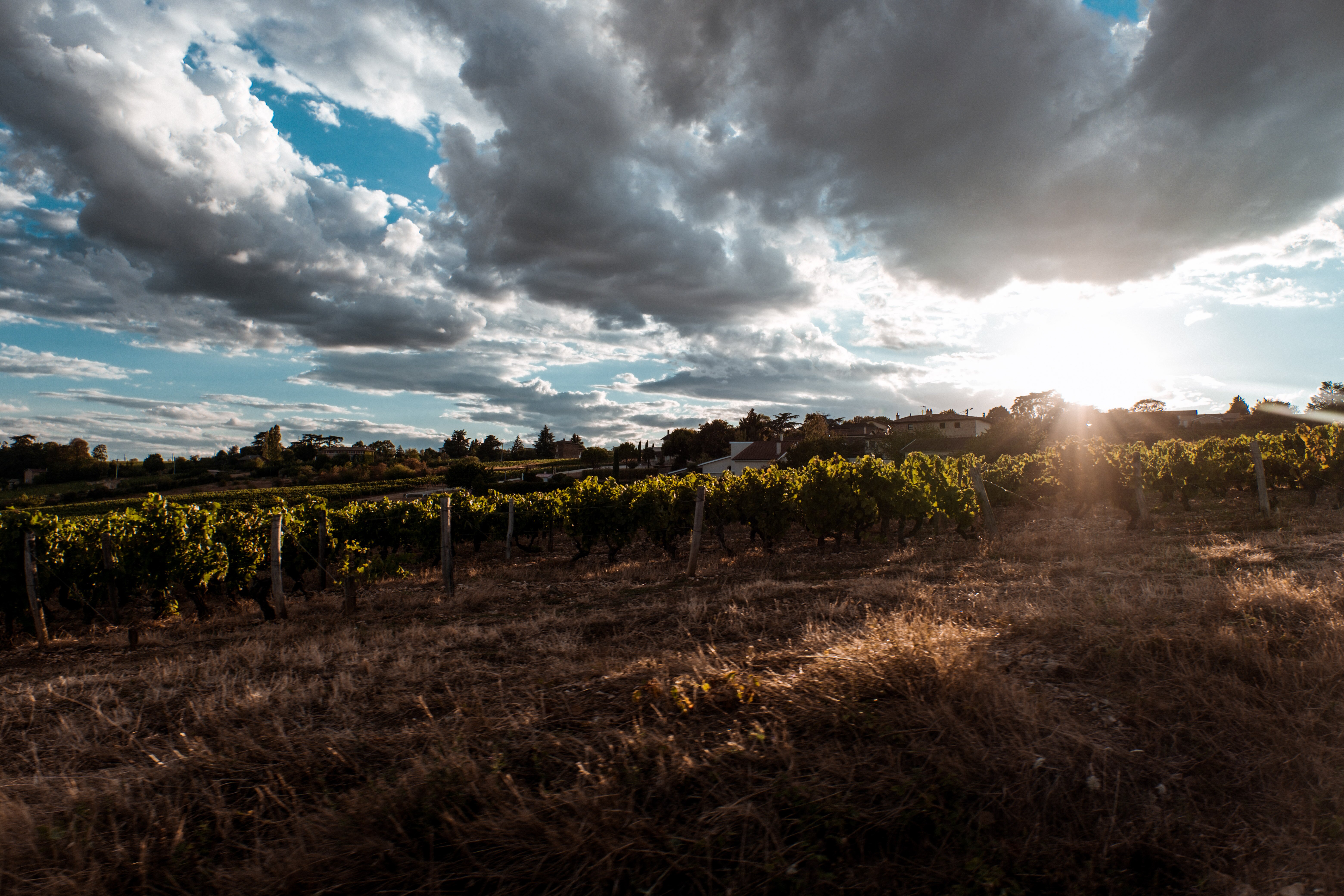 Clos de Pomeir-官方