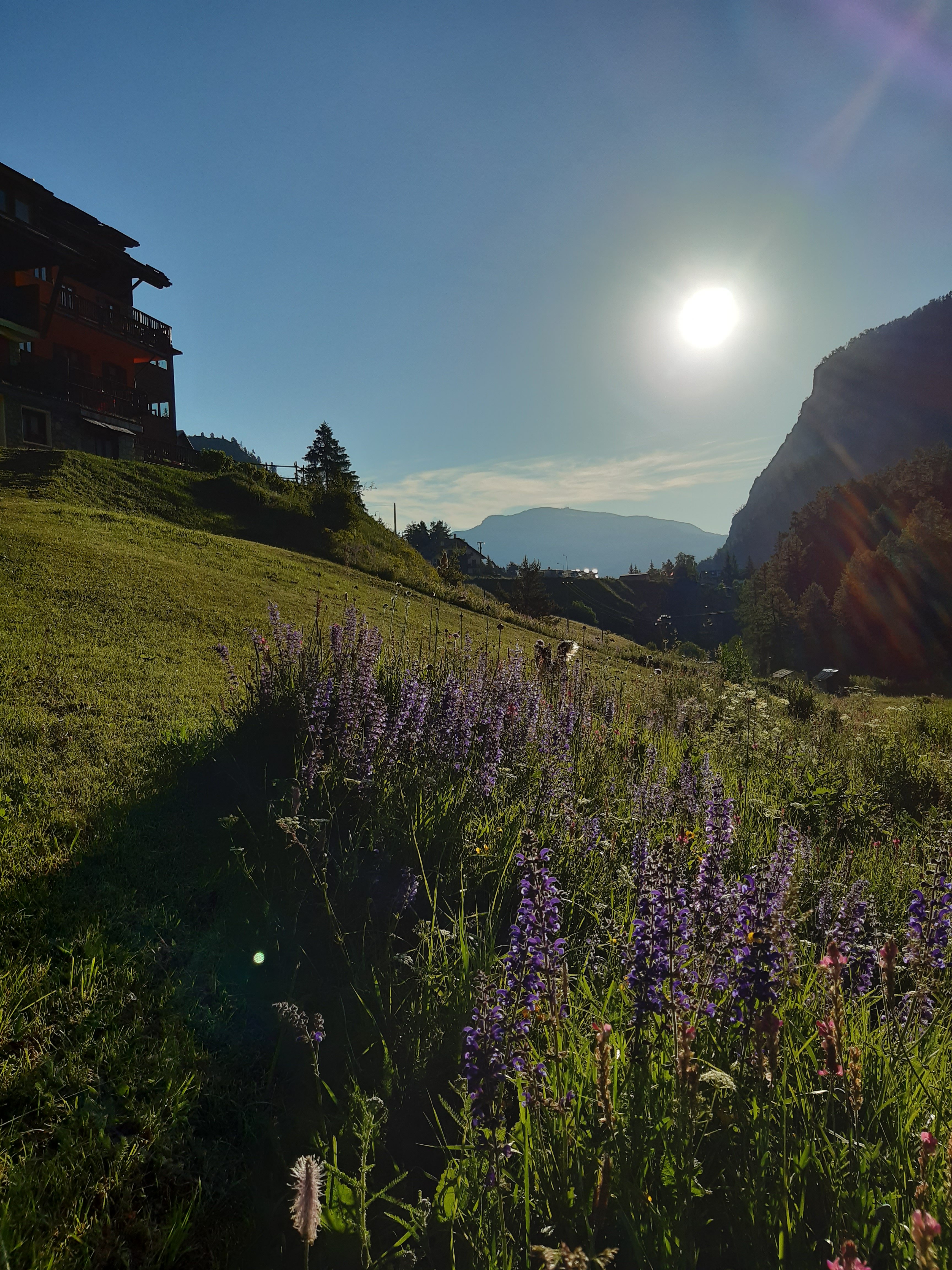 Hotel Piccolo Chalet-官方