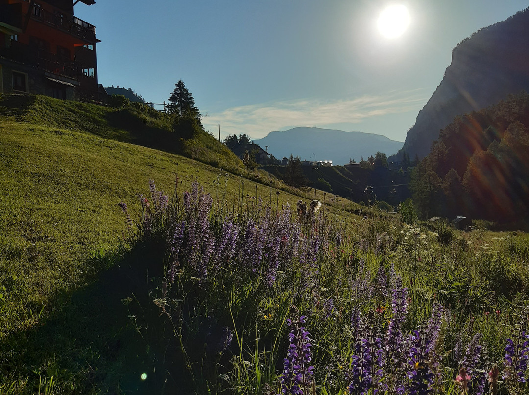 Hotel Piccolo Chalet主图