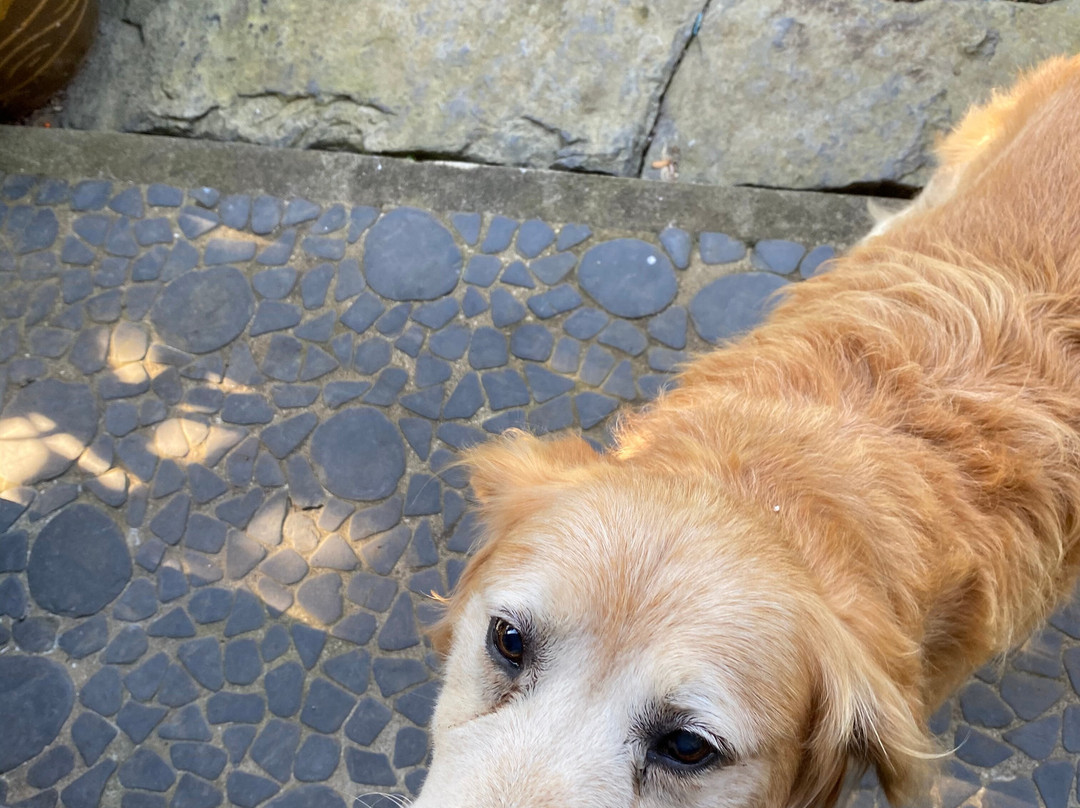 Yamanobe Ryokan主图