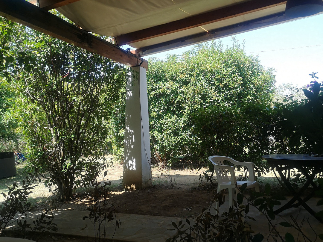 Agriturismo casa Panetta主图
