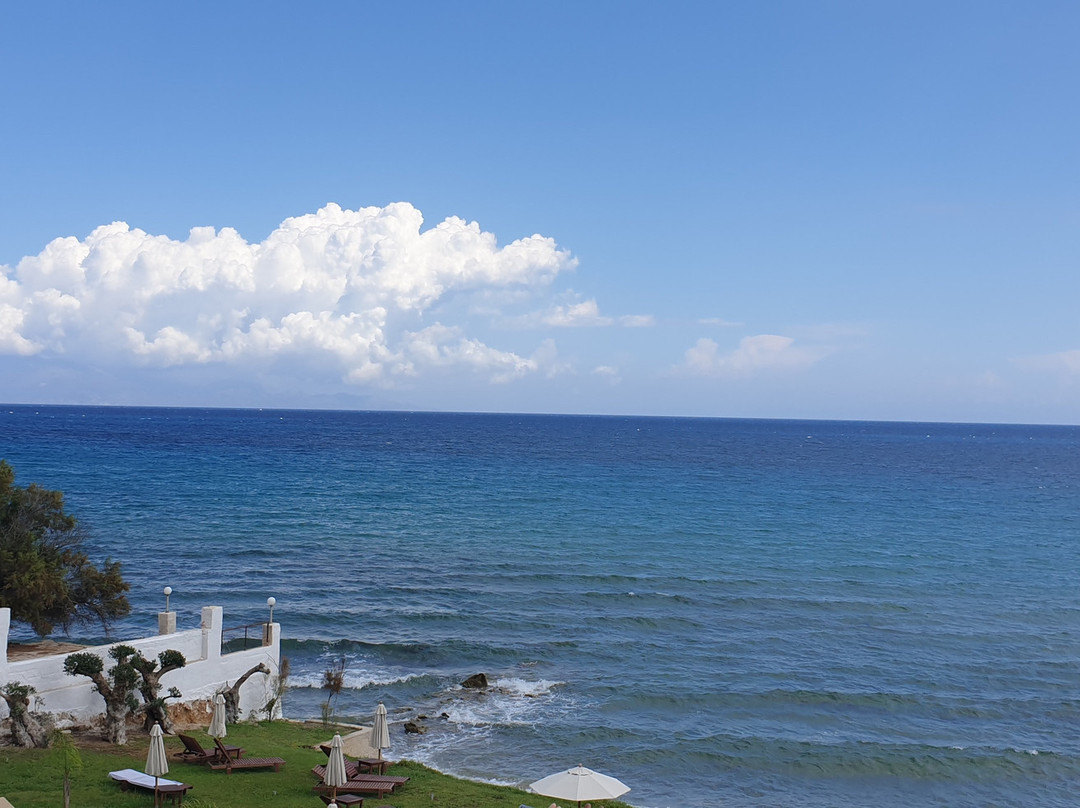 Cavo Orient Beach Hotel & Suites主图