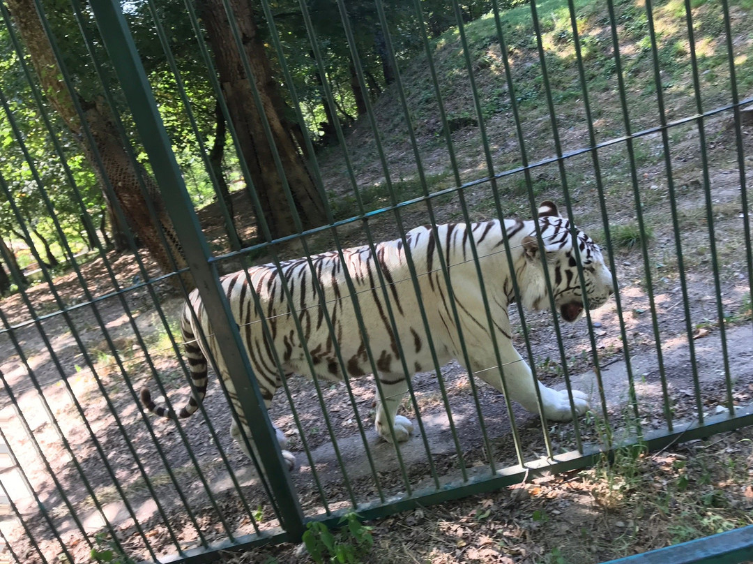 Sibiu Zoological Garden景点图片