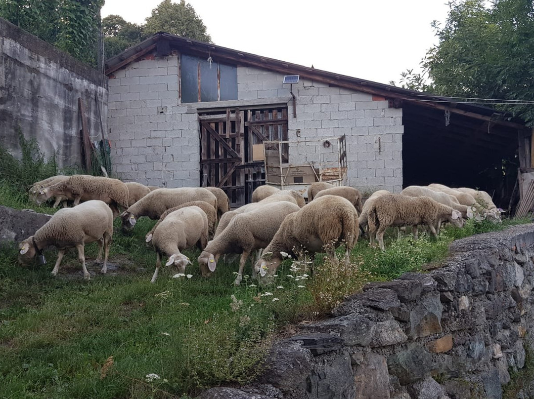 Agriturismo La Sorgente主图