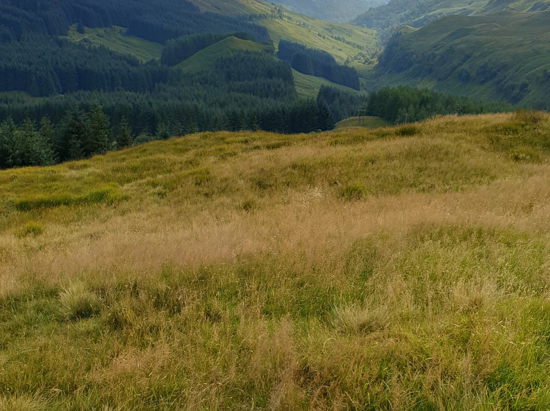 West Highland Wildlife Tours景点图片