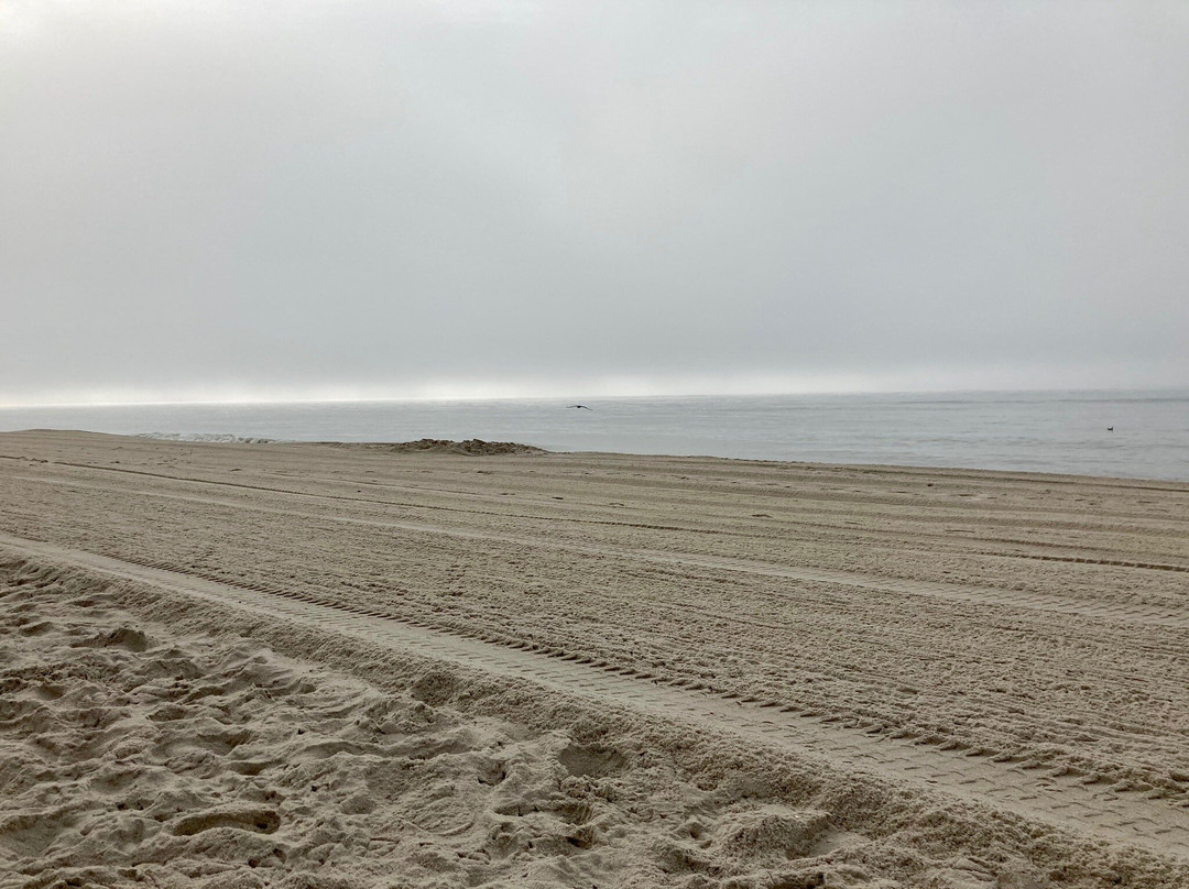 Robert Moses State Park景点图片