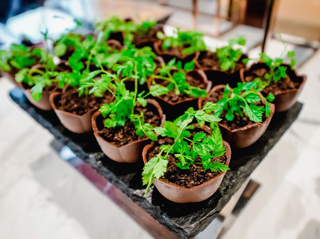 Sheraton Petaling Jaya Hotel主图