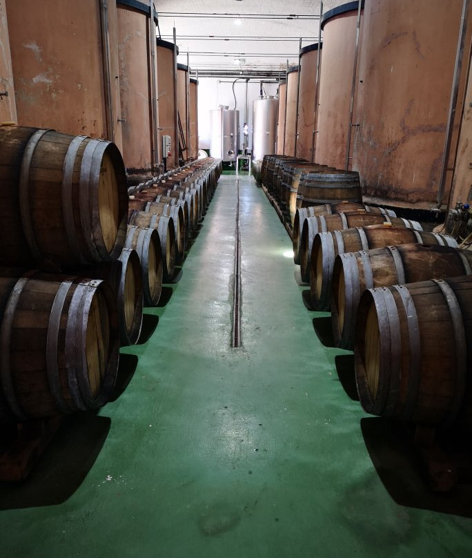 Bodegas Teneguia景点图片