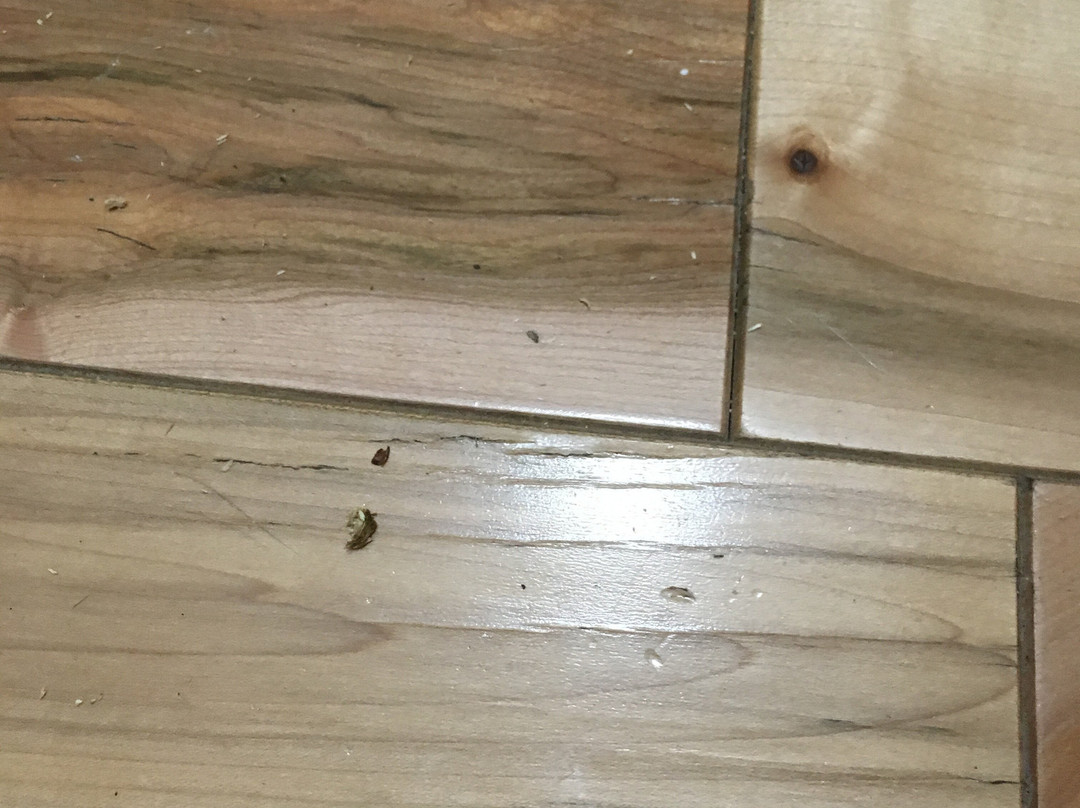 Domaine Annie Sur Mer主图