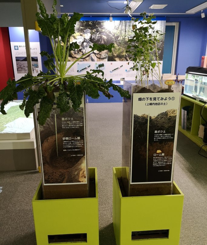 Tokachi Shikaoi Geo Park-鹿追町必去景点