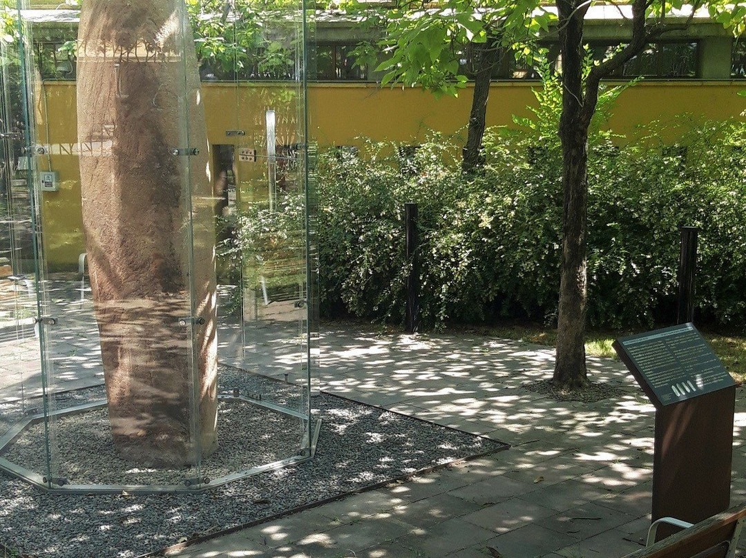 Menhir de Mollet景点图片
