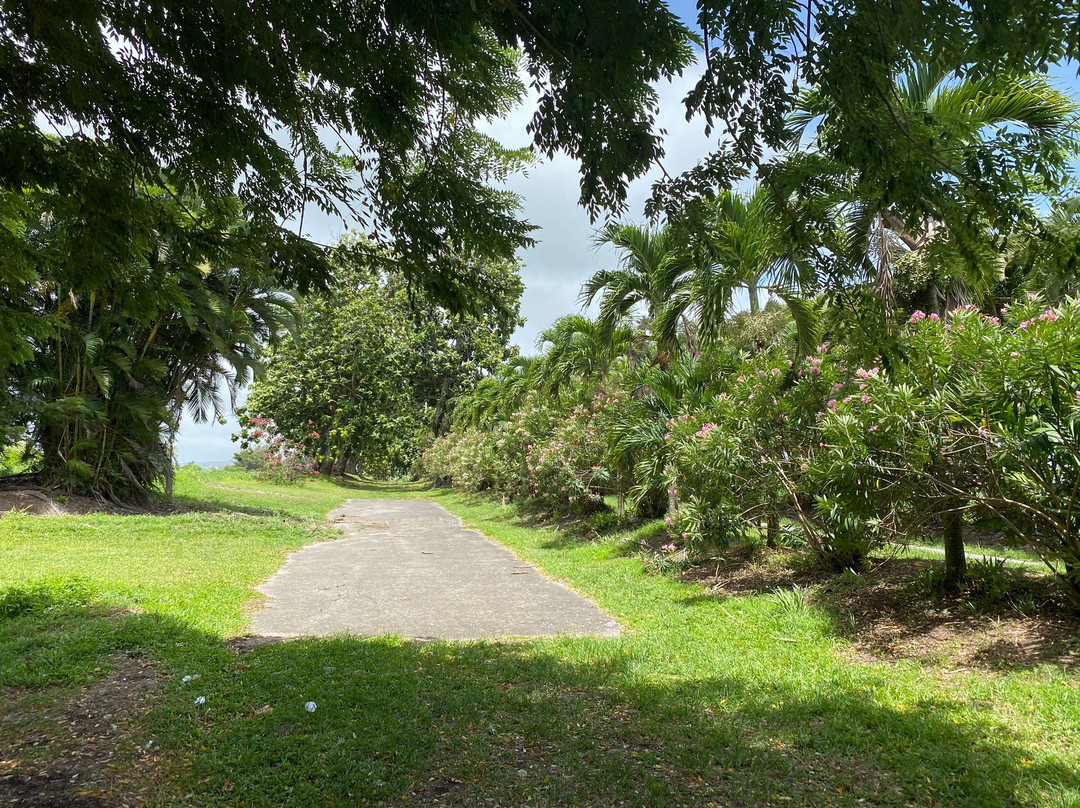 Sentier Nature Et Decouverte Chalvet-Basse-Pointe必去景点