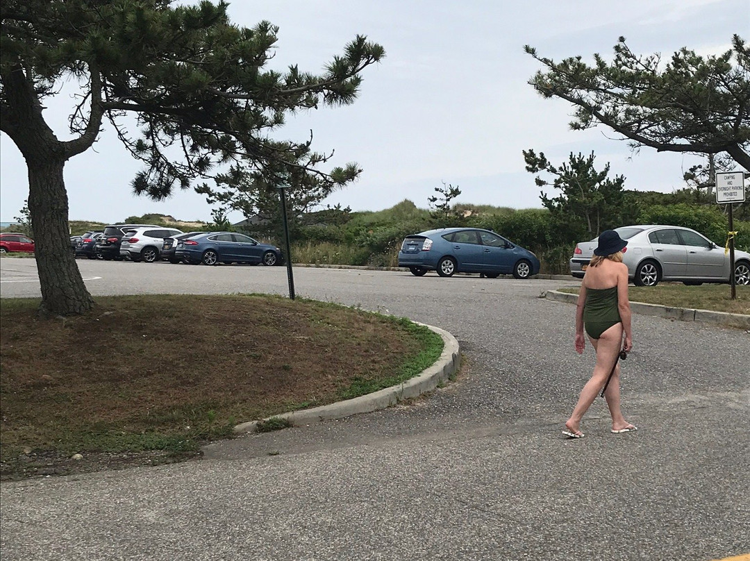 Kirk Park Beach-蒙托克必去景点