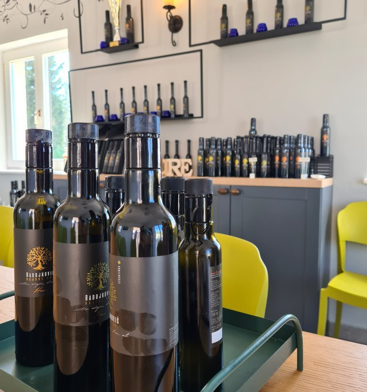 Olive oil tasting Radojkovic-Bogomolje必去景点