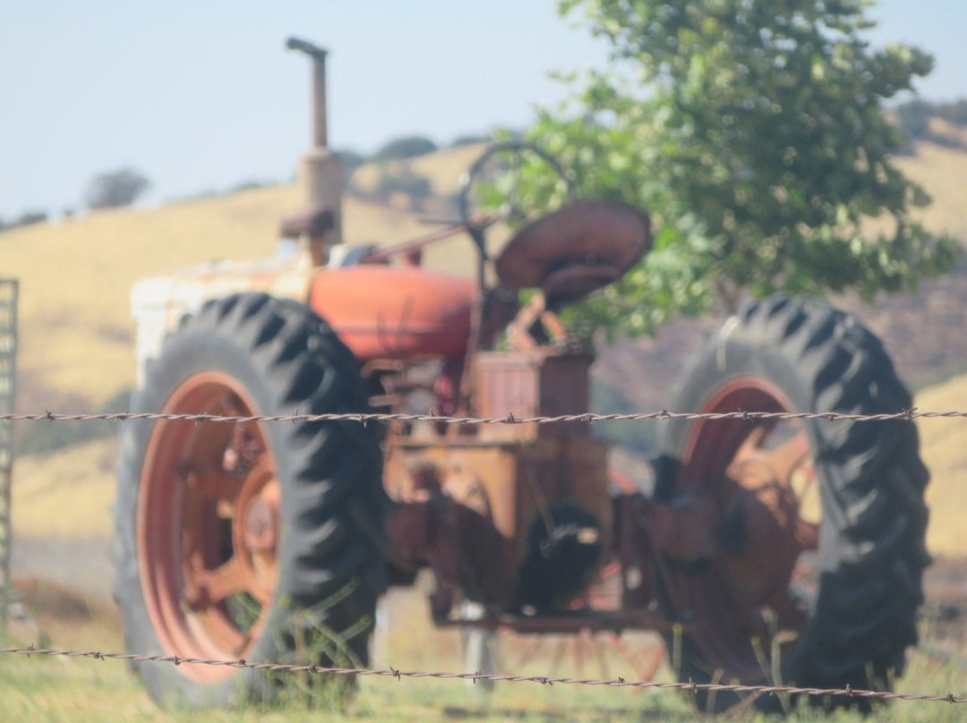 Nacitone Museum-Bradley必去景点