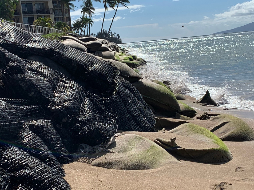 霍洛拉尼海滨公寓主图