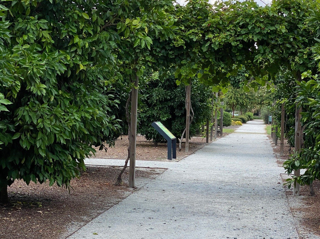 Coastal Georgia Botanical Gardens-萨凡纳必去景点