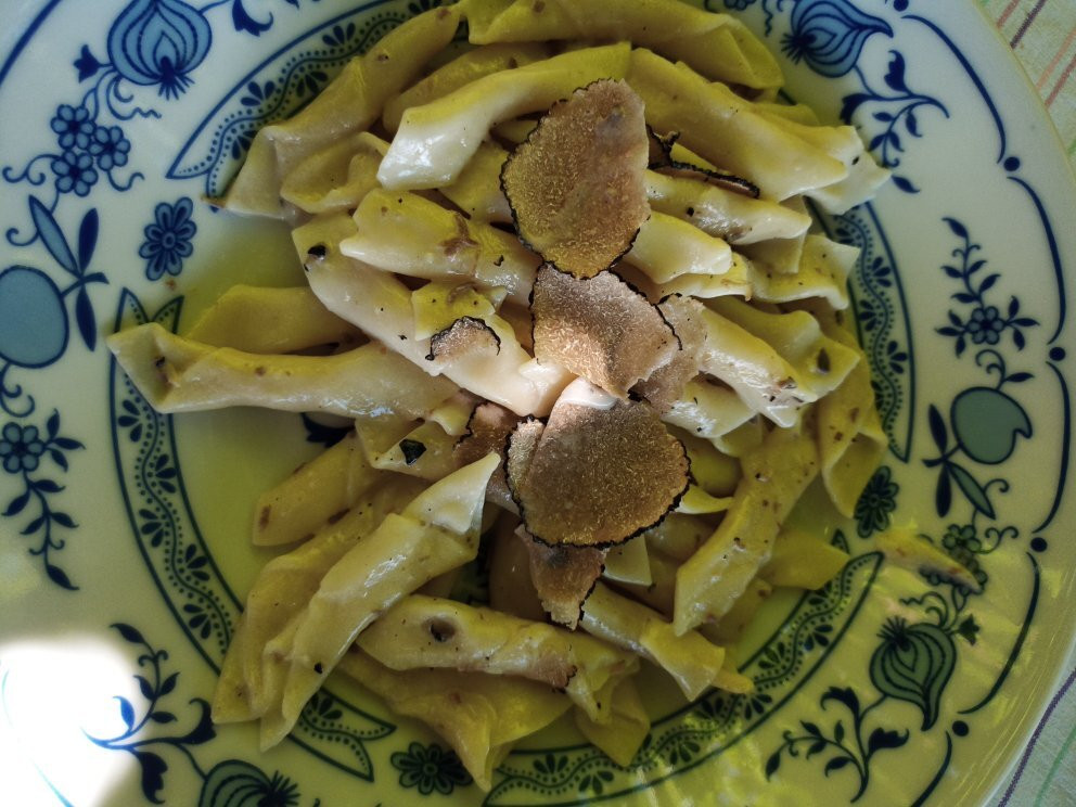 Svilicic truffle hunting-Motovun必去景点