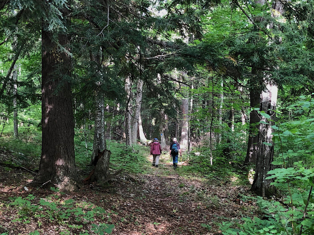 North End Trails景点图片