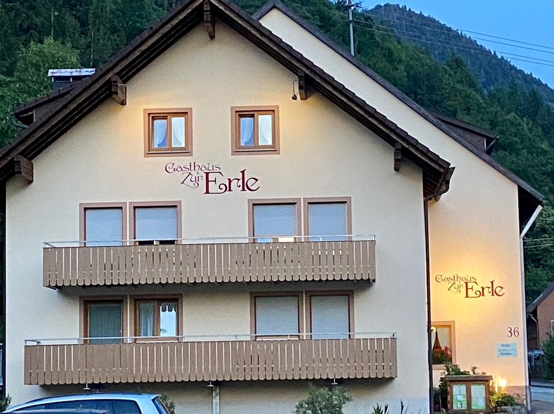 Gasthaus Zur Erle主图