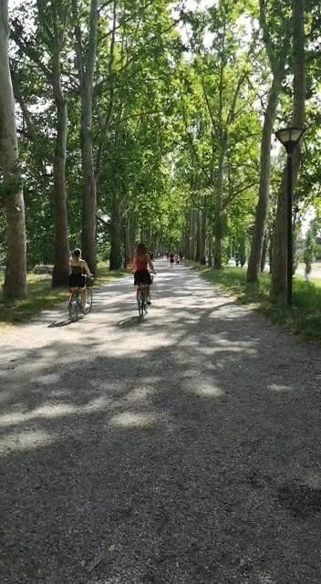 Le Mura di Ferrara景点图片