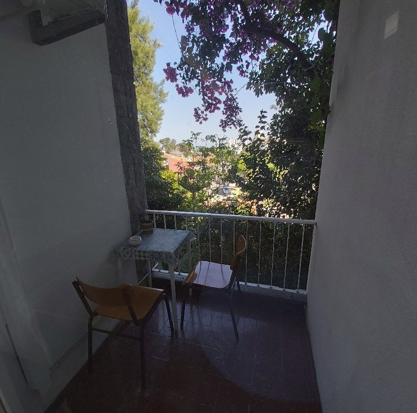 Cascais Jasmim Doce主图