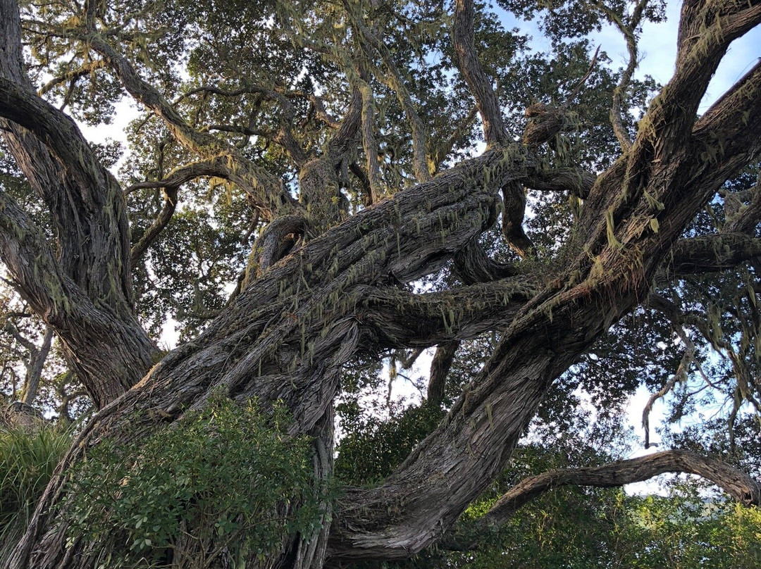 Butler Point Whaling Museum-Mangonui必去景点
