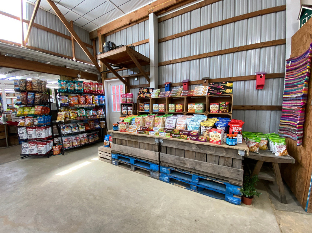 Detwiler's Farm Market-埃尔克顿必去景点