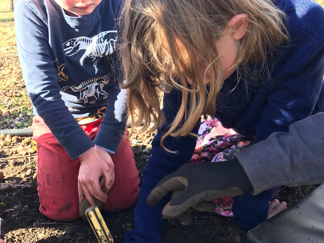 Truffles of Tasmania-德洛兰恩必去景点