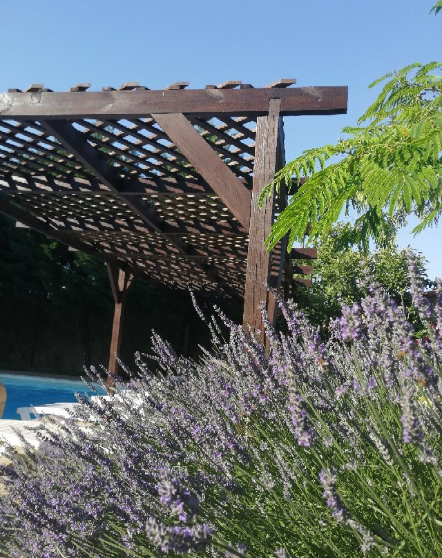 Guest House Zamok