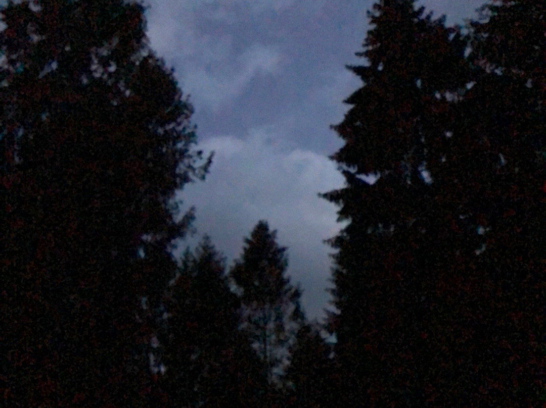 Snogeholms strövområde景点图片