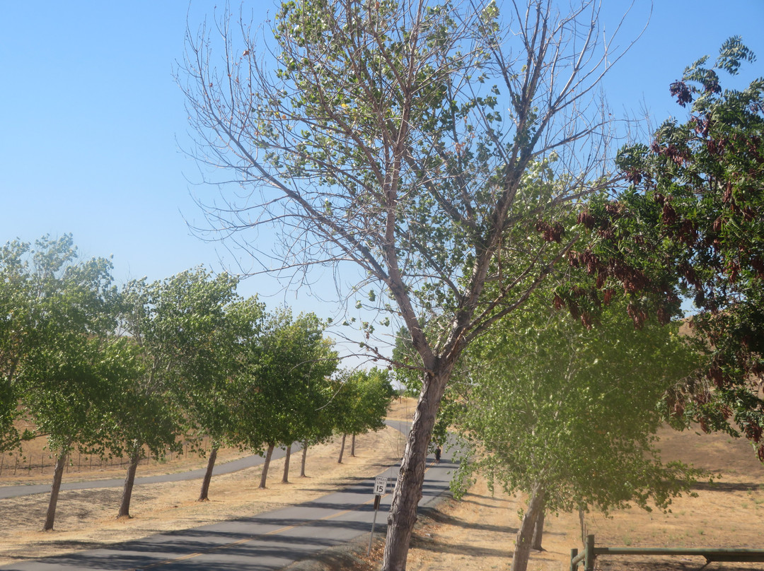 Contra Loma Regional Park-安条克必去景点