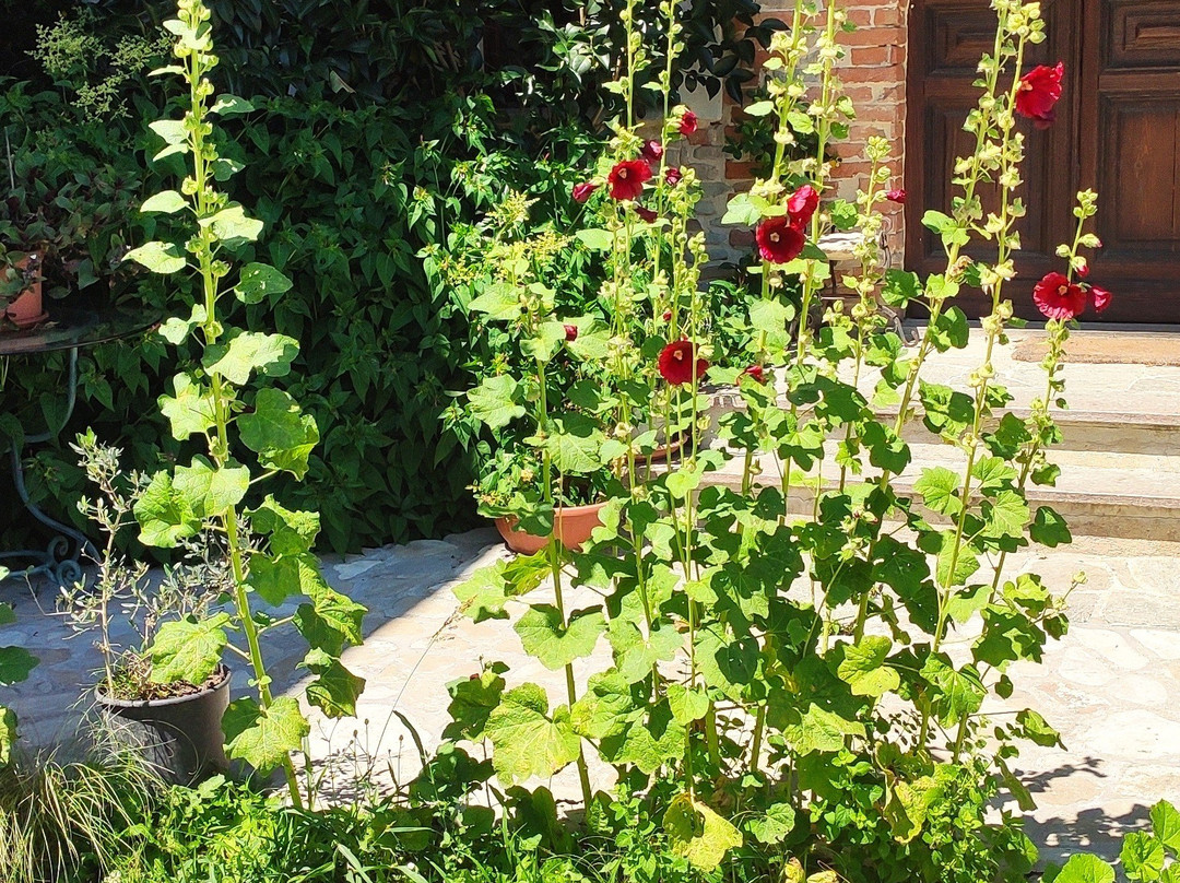 Agriturismo Ercolana主图