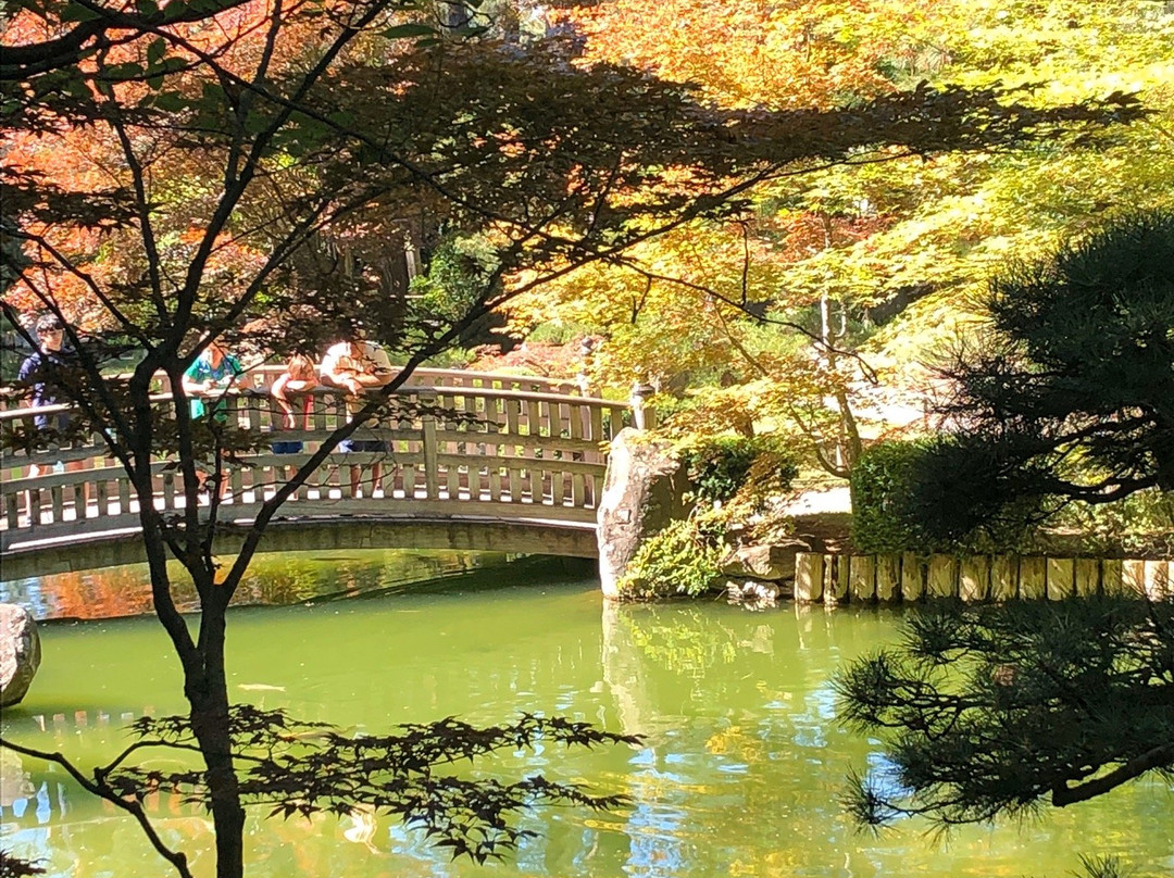 Nishinomiya Tsutakawa Japanese Garden-斯波坎必去景点