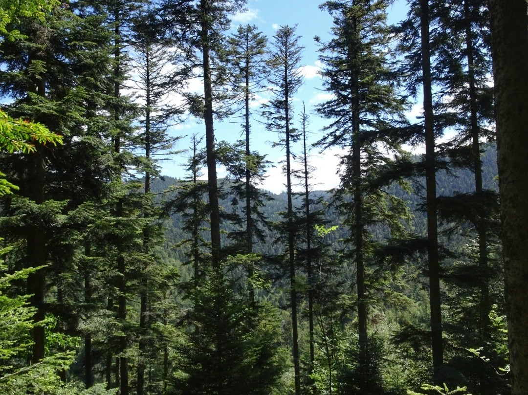 Lac de la Maix景点图片