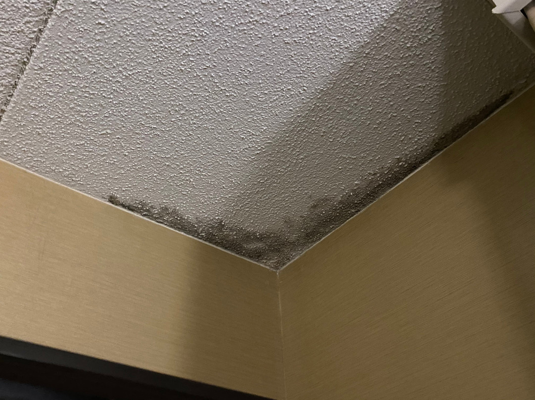 Best Western Okemos/East Lansing Hotel & Suites主图