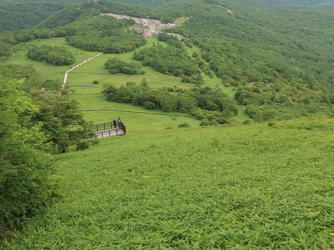 Kirifuri Highlands Kisuge Plain-日光市必去景点