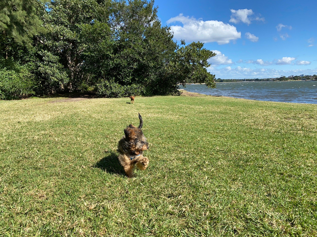 Callan Park-罗泽尔必去景点
